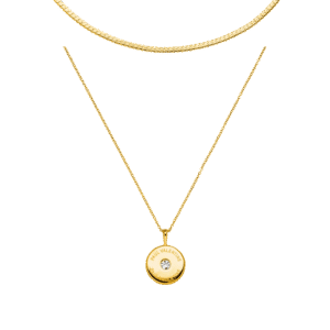 Iconic Coin & Sleek Necklace